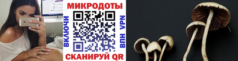 Псилоцибиновые грибы Magic Shrooms  Керчь 